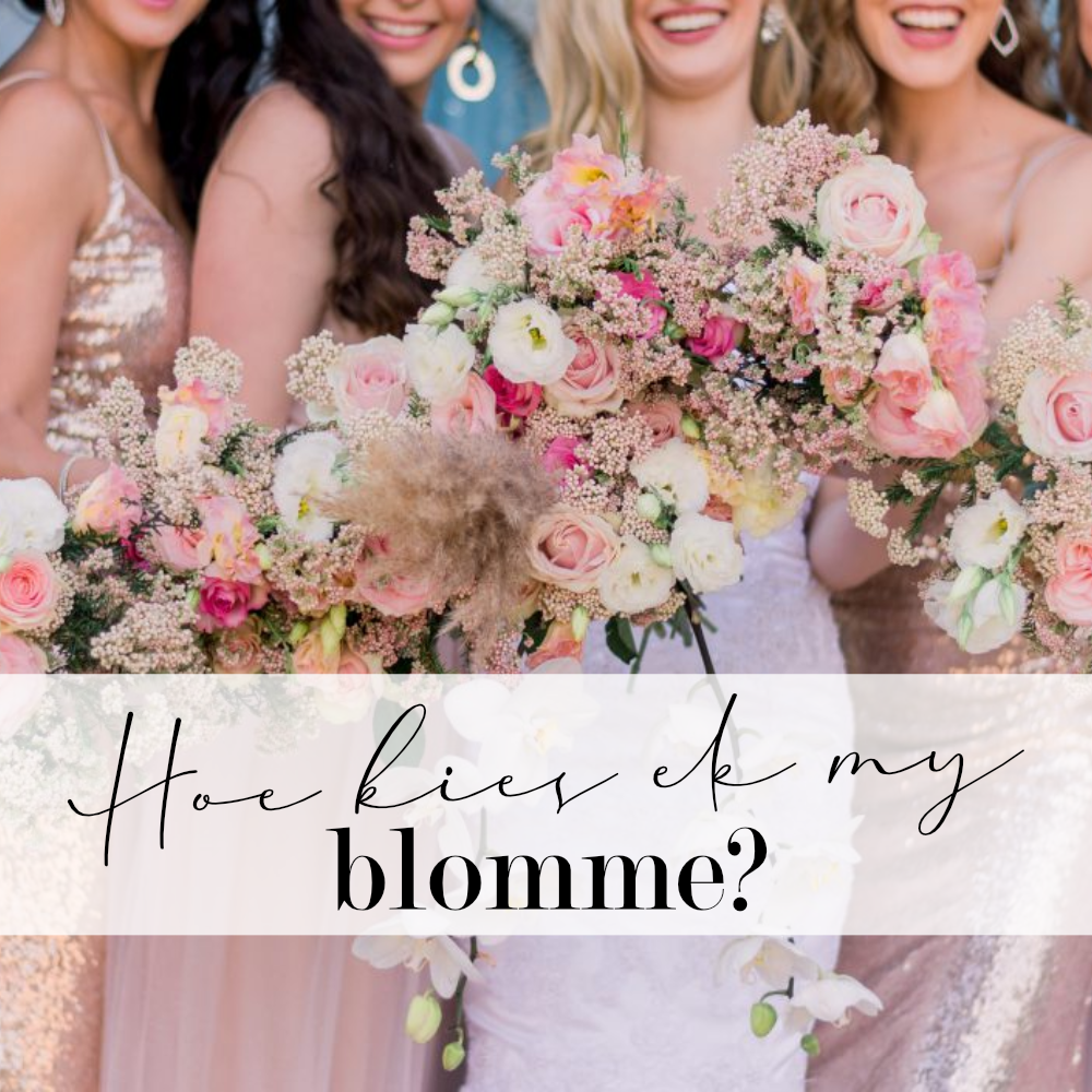 Hoe kies ek my blomme